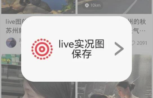 小红书live图保存无水印