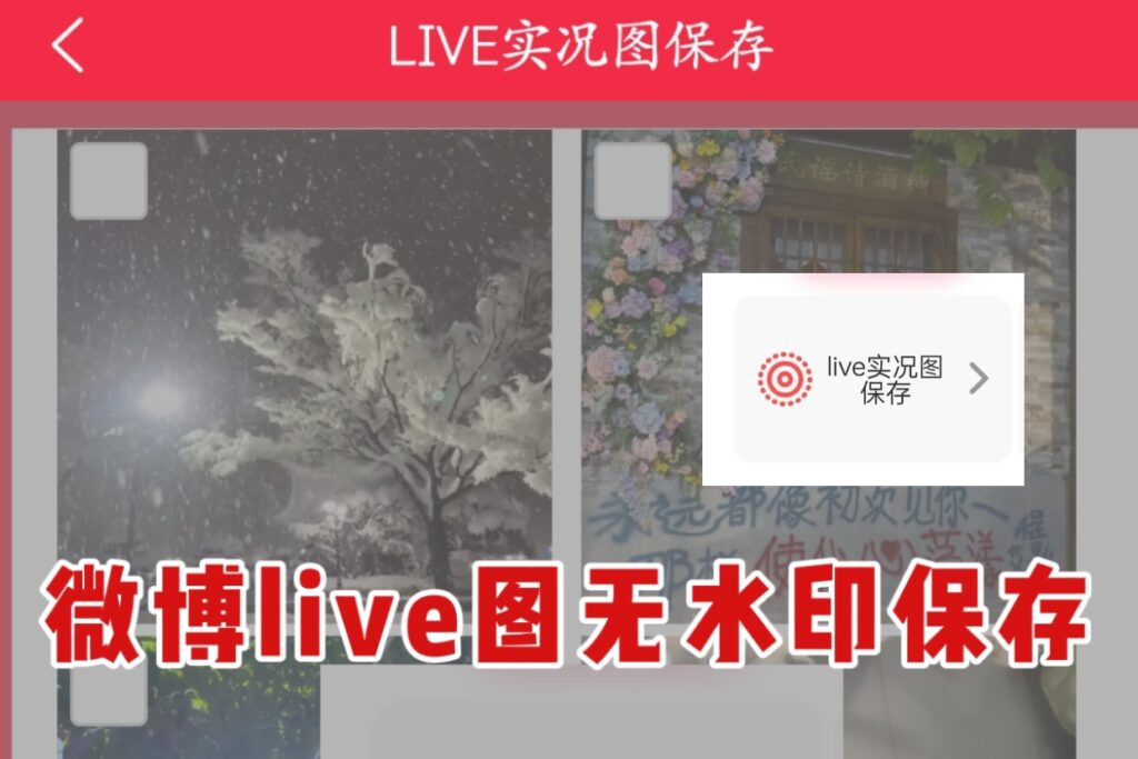 🔥微博Live图无水印保存的方法来啦~