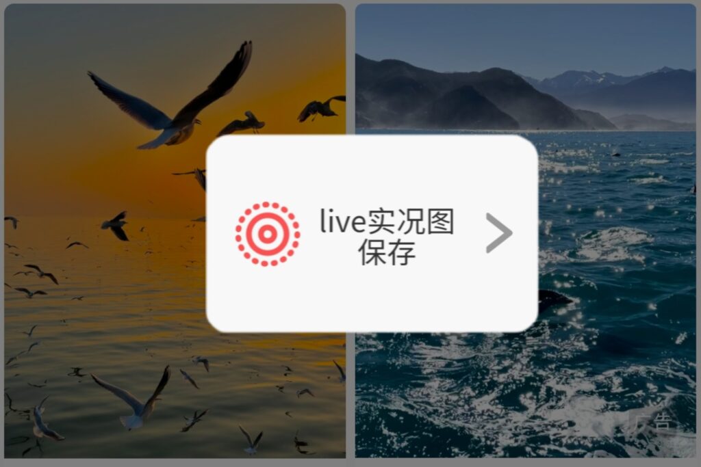 iPhone无水印保存小红书live实况动图