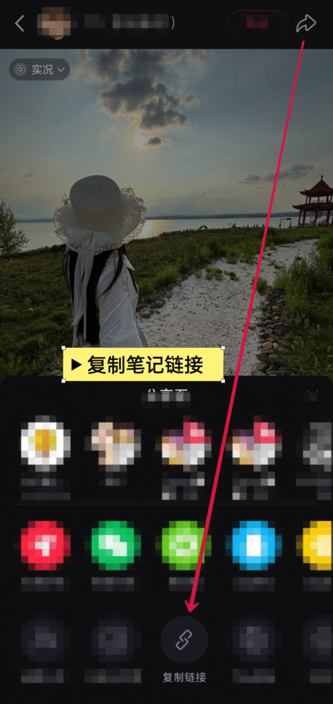 小红书App复制笔记链接