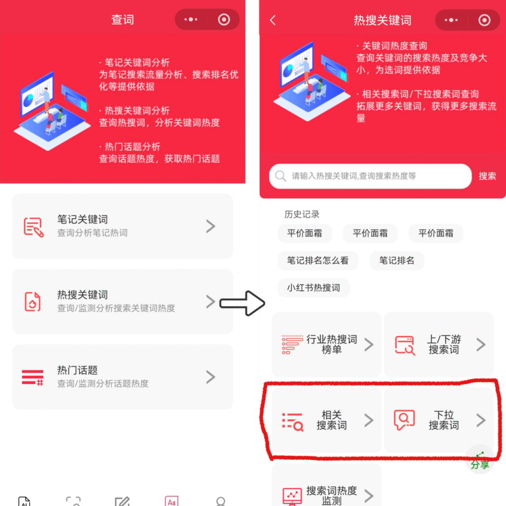 相关搜索词和下拉搜索词